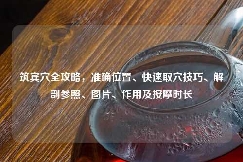 筑宾穴全攻略,准确位置、快速取穴技巧、解剖参照、图片、作用及 时长