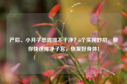 产后、小月子恶露排不干净？5个实用妙招，帮你快速排净子宫、恢复好身体！