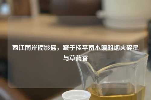 西江南岸楠影摇，藏于桂平南木镇的烟火碎星与草药香