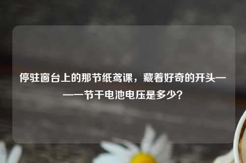 停驻窗台上的那节纸鸢课，藏着好奇的开头——一节干电池电压是多少？