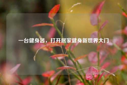 一台健身器，打开居家健身新世界大门