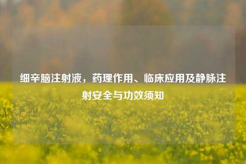 细辛脑注射液，药理作用、临床应用及静脉注射安全与功效须知