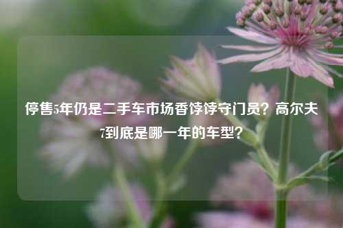 停售5年仍是二手车市场香饽饽守门员？高尔夫7到底是哪一年的车型？
