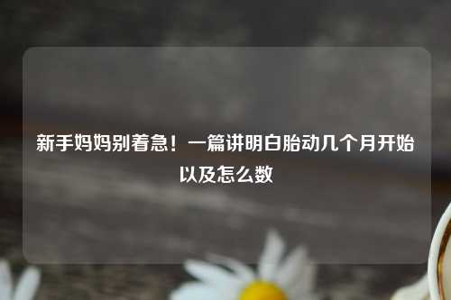 新手妈妈别着急！一篇讲明白胎动几个月开始以及怎么数