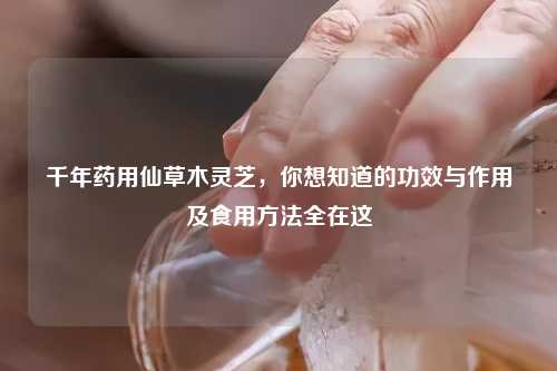 千年药用仙草木灵芝，你想知道的功效与作用及食用     全在这