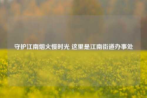 守护江南烟火慢时光 这里是江南街道办事处