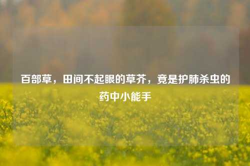 百部草，田间不起眼的草芥，竟是护肺杀虫的药中小能手