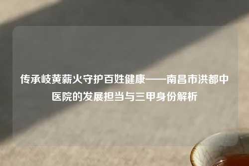 传承岐黄薪火守护百姓健康——南昌市洪都中医院的发展担当与三甲身份解析