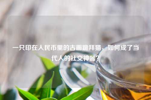 一只印在人民币里的古画跪拜猫，如何成了当代人的社交神器？