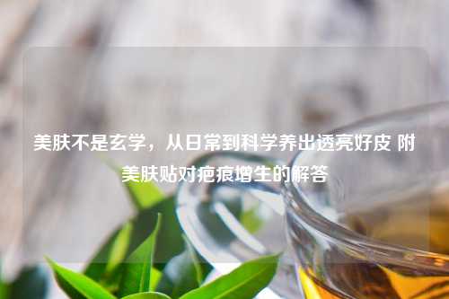 美肤不是玄学，从日常到科学养出透亮好皮 附美肤贴对疤痕增生的解答