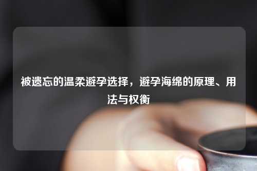 被遗忘的温柔避孕选择,避孕海绵的原理、用法与权衡