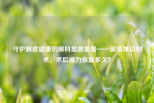 守护眼底健康的眼科显微重器——玻璃体切割术，术后视力恢复多久？