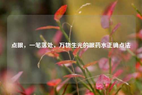 点眼，一笔落处，万物生光的眼药水正确点法