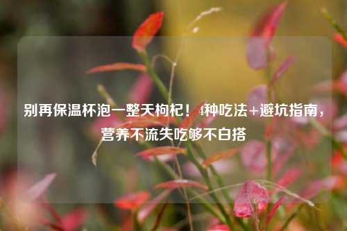 别再保温杯泡一整天枸杞！4种吃法+避坑指南，营养不流失吃够不白搭