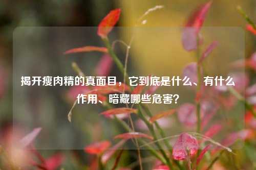 揭开瘦肉精的真面目，它到底是什么、有什么作用、暗藏哪些危害？