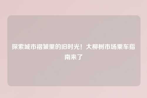 探索城市褶皱里的旧时光！大柳树市场乘车指南来了
