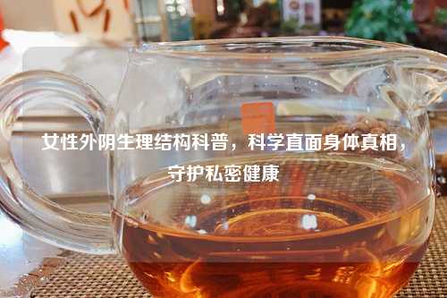 女性外阴生理结构科普，科学直面身体真相，守护私密健康