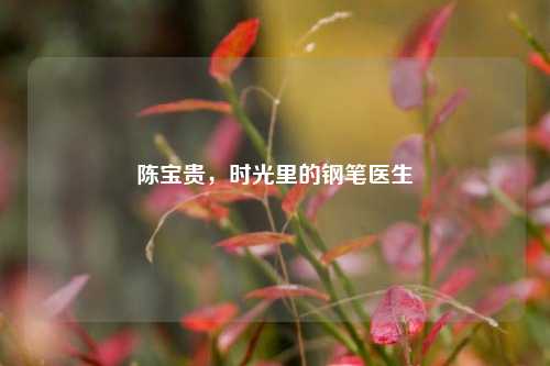 陈宝贵，时光里的钢笔医生