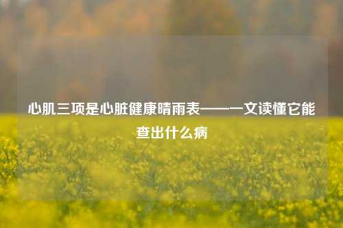 心肌三项是心脏健康晴雨表——一文读懂它能查出什么病