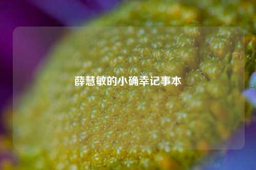 薛慧敏的小确幸记事本