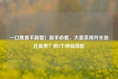 一口焦香不踩雷！新手必看，大麦茶用开水泡还是煮？附3个神仙搭配