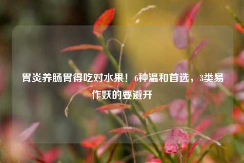 胃炎养肠胃得吃对水果！6种温和首选，3类易作妖的要避开