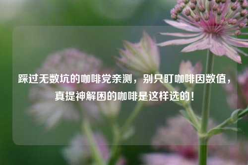 踩过无数坑的咖啡党亲测，别只盯     数值，真提神解困的咖啡是这样选的！