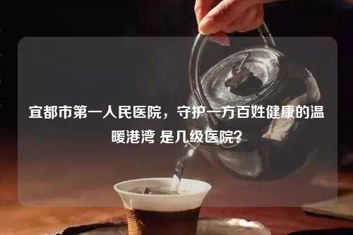 宜都市之一人民医院，守护一方百姓健康的温暖港湾 是几级医院？