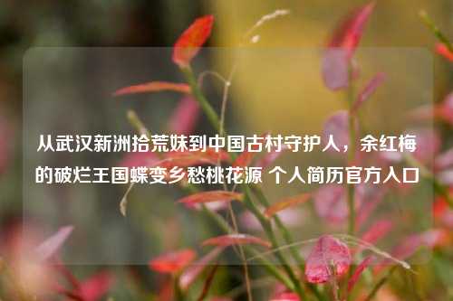 从武汉新洲拾荒妹到中国古村守护人，余红梅的破烂王国蝶变乡愁桃花源 个人简历官方入口