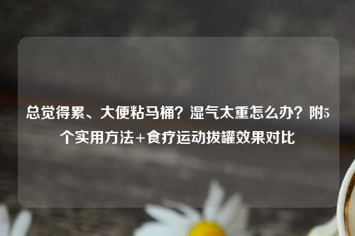 总觉得累、大便粘马桶？湿气太重怎么办？附5个实用     +食疗运动拔罐效果对比