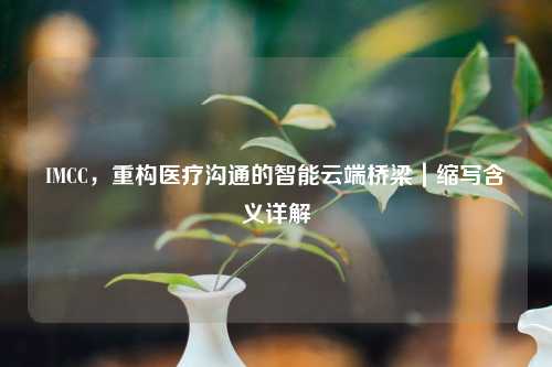 IMCC，重构医疗沟通的智能云端桥梁｜缩写含义详解