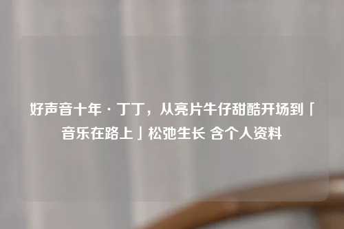 好声音十年·丁丁，从亮片牛仔甜酷开场到「音乐在路上」松弛生长 含个人资料