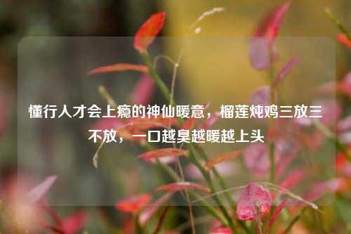 懂行人才会上瘾的神仙暖意，榴莲炖鸡三放三不放，一口越臭越暖越上头