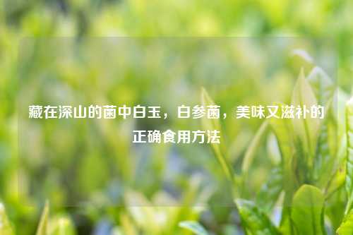 藏在深山的菌中白玉，白参菌，美味又滋补的正确食用     