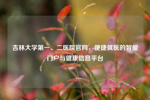 吉林大学之一、二医院官网，便捷就医的智能门户与健康信息平台