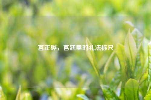 宫正晔，宫廷里的礼法标尺