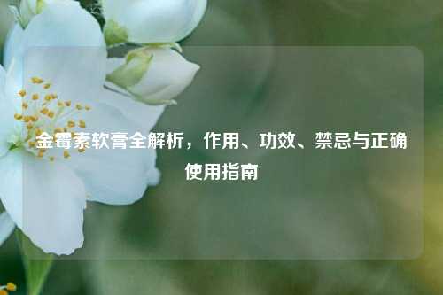 金霉素软膏全解析，作用、功效、禁忌与正确使用指南