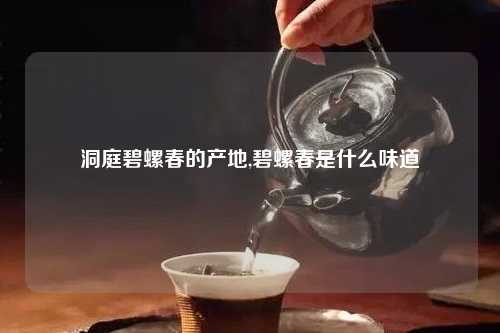 洞庭碧螺春的产地,碧螺春是什么味道