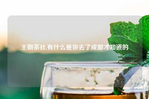 王朝茶社,有什么是你去了成都才知道的