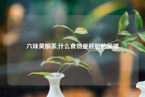 六味黄酮茶,什么食物是肝脏的保镖