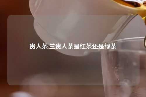 贵人茶,兰贵人茶是红茶还是绿茶
