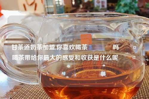甘茶道奶茶加盟,你喜欢喝茶🍵吗🤔喝茶带给你最大的感受和收获是什么呢🤓