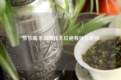 节节清,水仙肉桂大红袍有什么区别