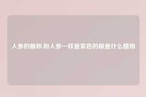 人参的雅称,和人参一样是紫色的根是什么植物
