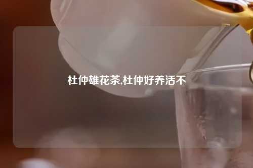 杜仲雄花茶,杜仲好养活不