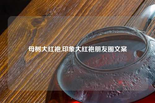 母树大红袍,印象大红袍朋友圈文案