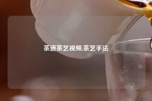 茶道茶艺视频,茶艺手法