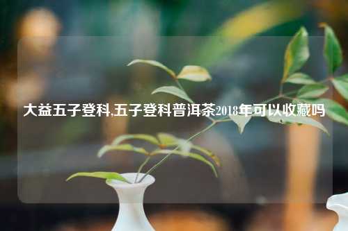 大益五子登科,五子登科普洱茶2018年可以收藏吗