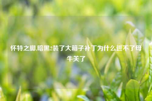 怀特之脚,暗黑2装了大箱子补丁为什么进不了母牛关了