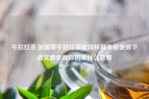 午后红茶,张国荣午后红茶歌词杯耳未裂便放下谁又要参观你的家什么意思